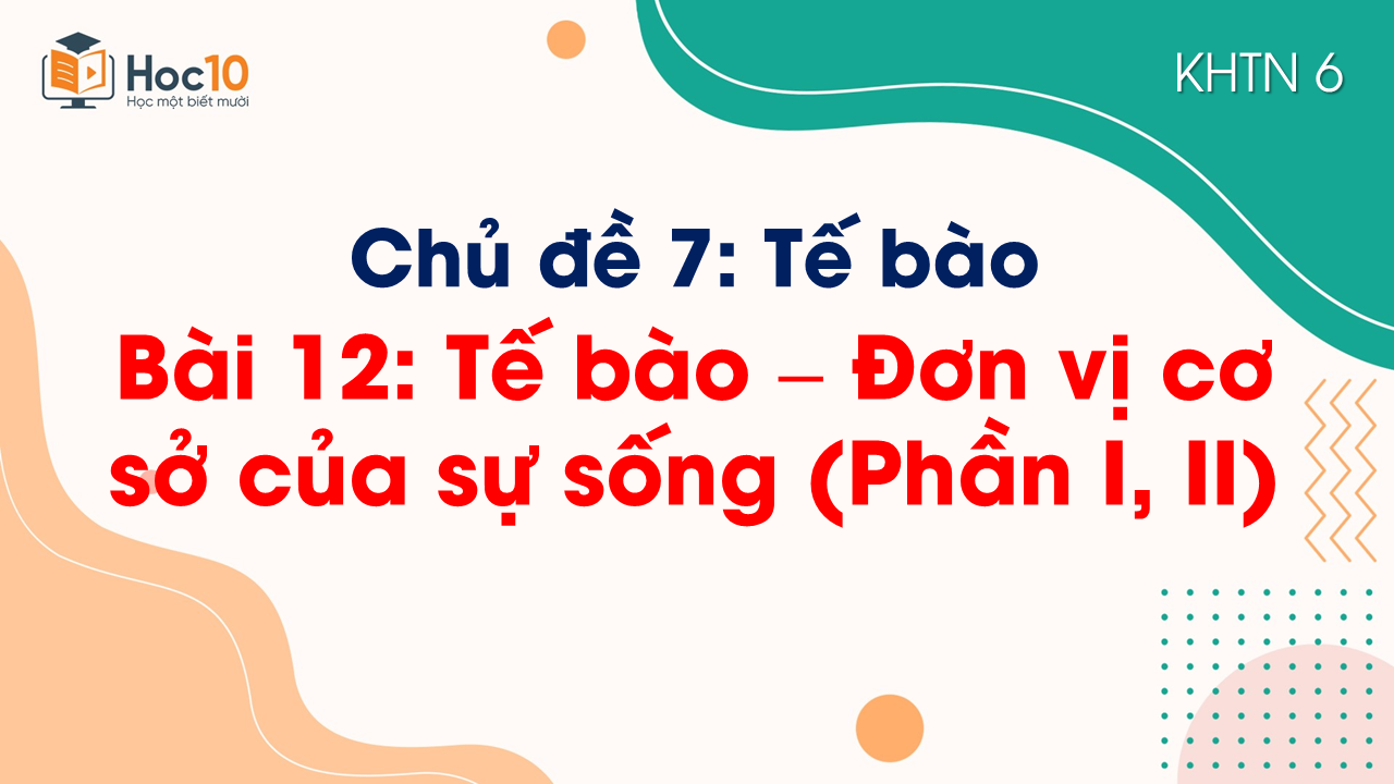 Bài 12. Tế bào - Đơn vị cơ sở của sự sống (Phần I, II)