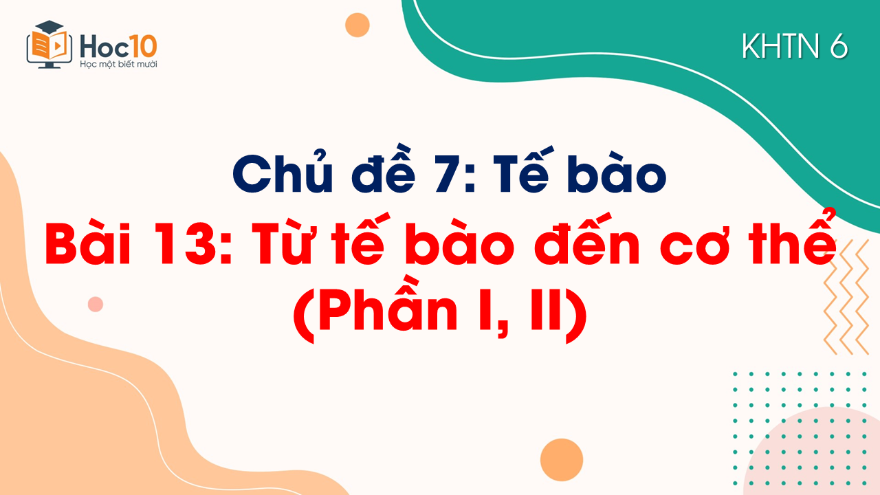 Bài 13. Từ tế bào đến cơ thể (Phần I, II)