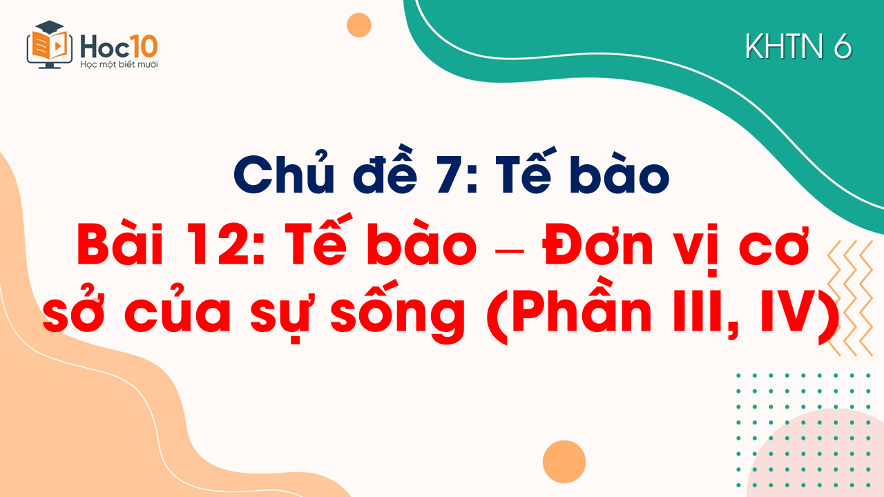 Bài 12. Tế bào - Đơn vị cơ sở của sự sống (Phần III, IV)