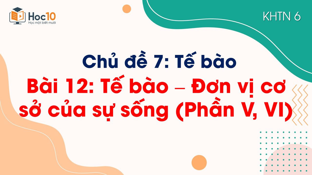 Bài 12. Tế bào - Đơn vị cơ sở của sự sống (Phần V, VI)