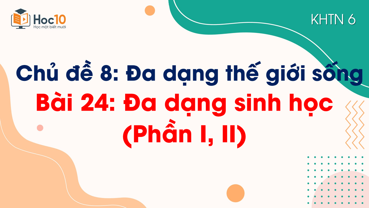 Bài 24. Đa dạng sinh học (Phần I, II)