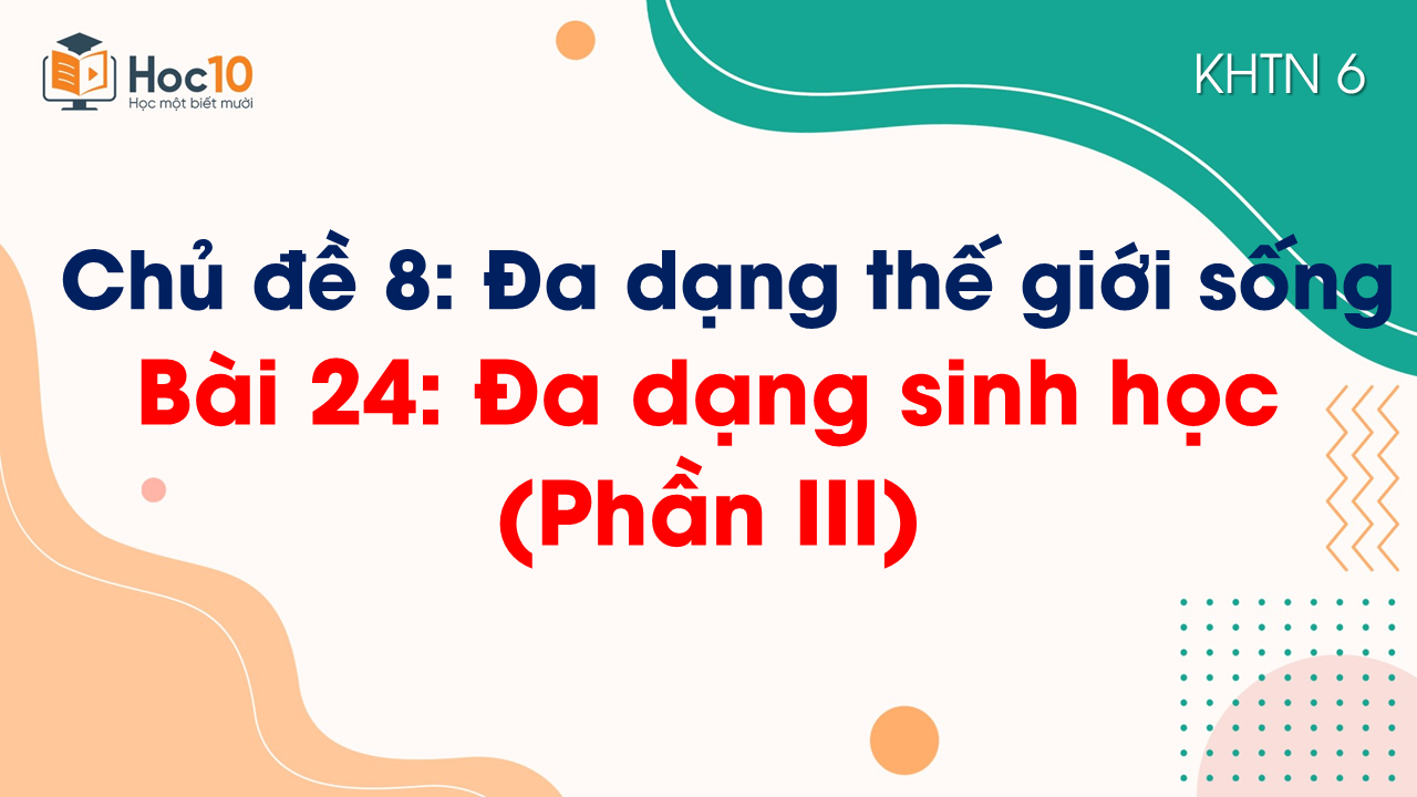 Bài 24. Đa dạng sinh học (Phần III)