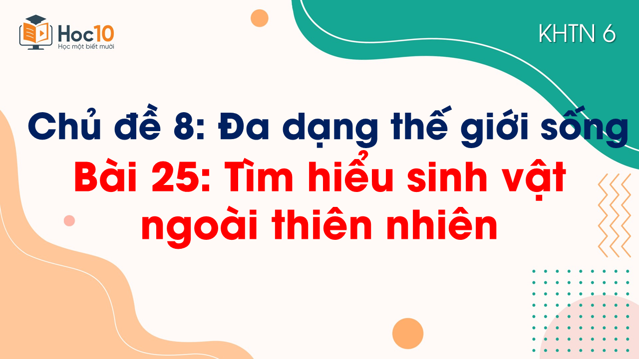Bài 25. Tìm hiểu sinh vật ngoài thiên nhiên