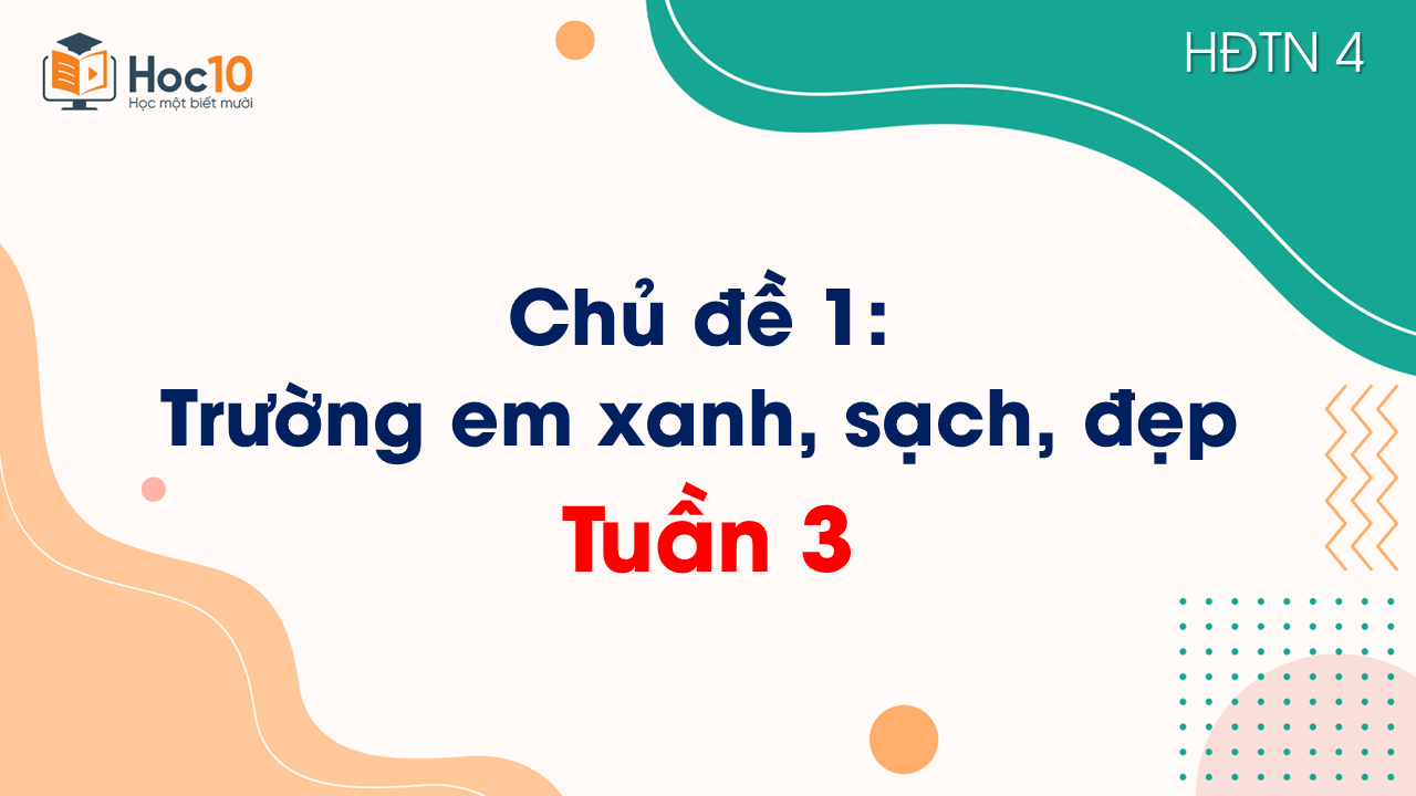 Tuần 3