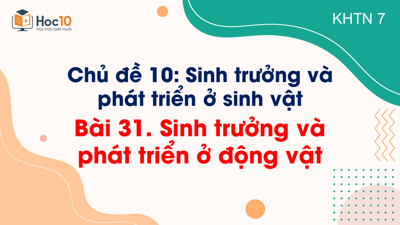 Bài 31. Sinh trưởng và phát triển ở động vật