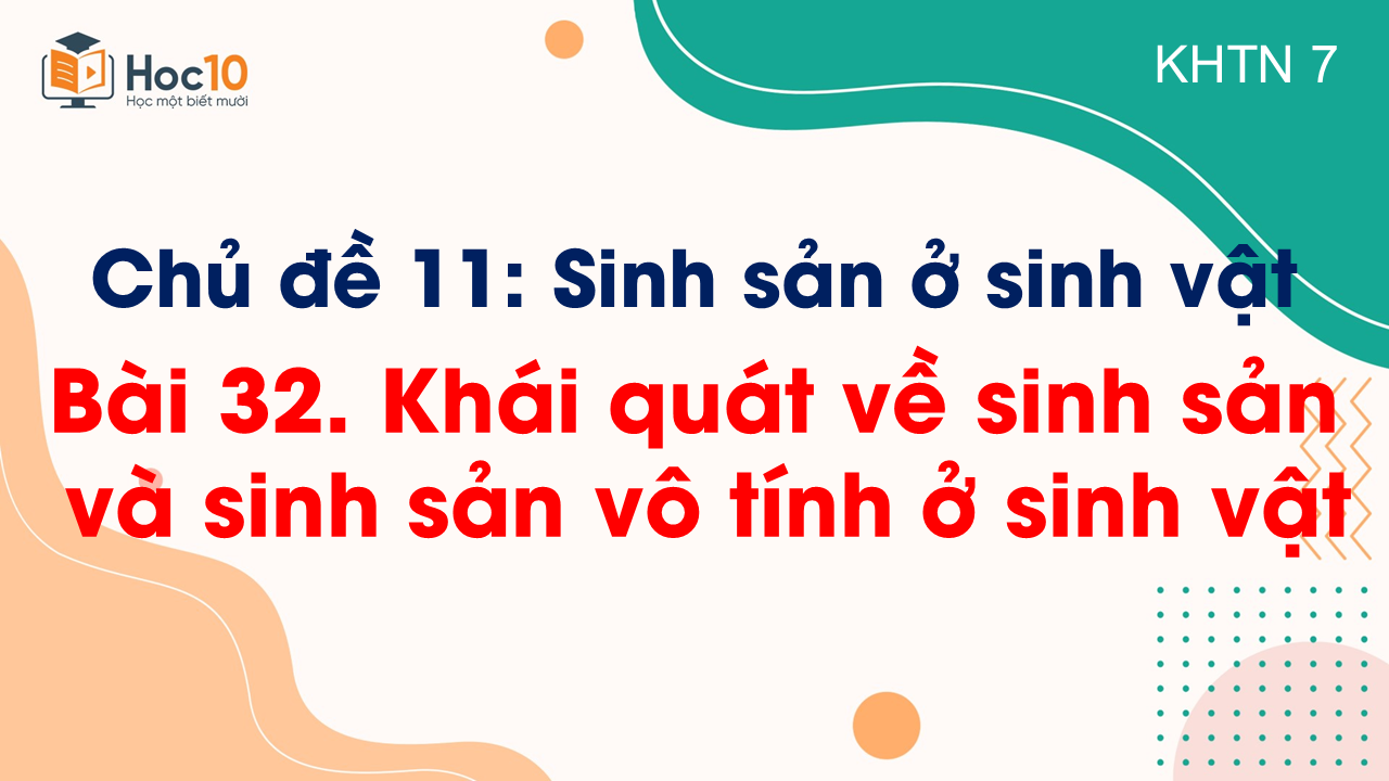 Bài 32. Khái quát về sinh sản và sinh sản vô tính ở sinh vật