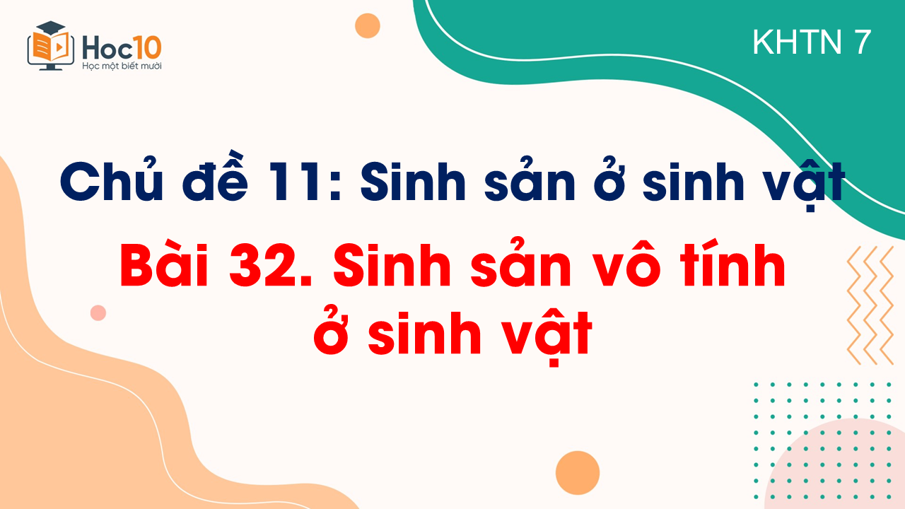 Bài 33. Sinh sản hữu tính ở sinh vật