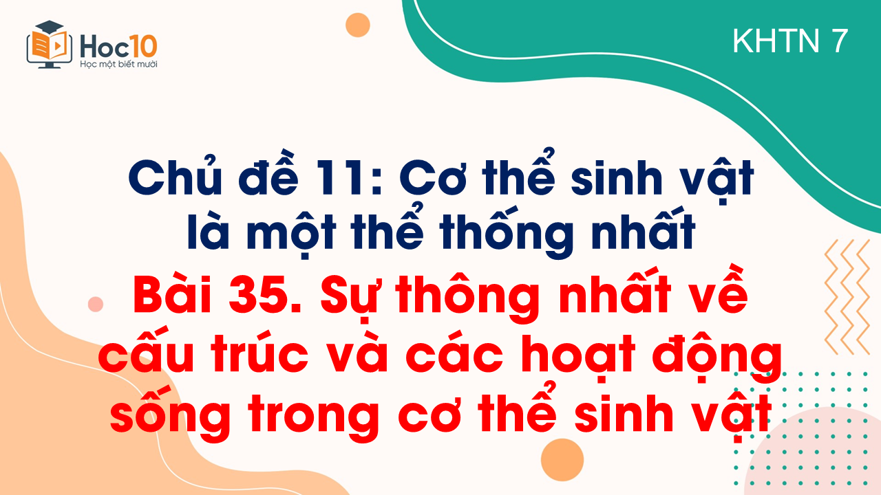Bài 35. Sự thống nhất về cấu trúc và các hoạt động sống trong cơ thể sinh vật