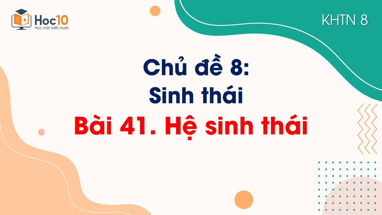 Bài 41. Hệ sinh thái