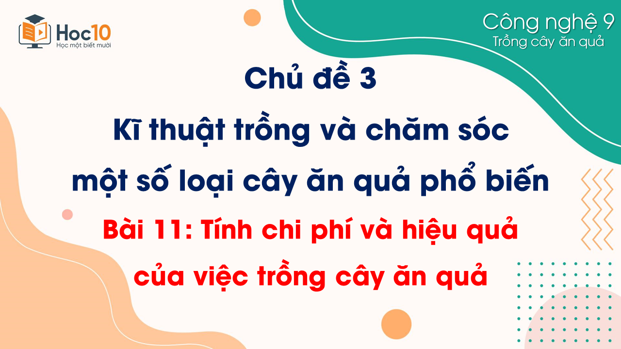 TCAQ - Bài 11. Tính chi phí và hiệu quả của việc trồng cây ăn quả