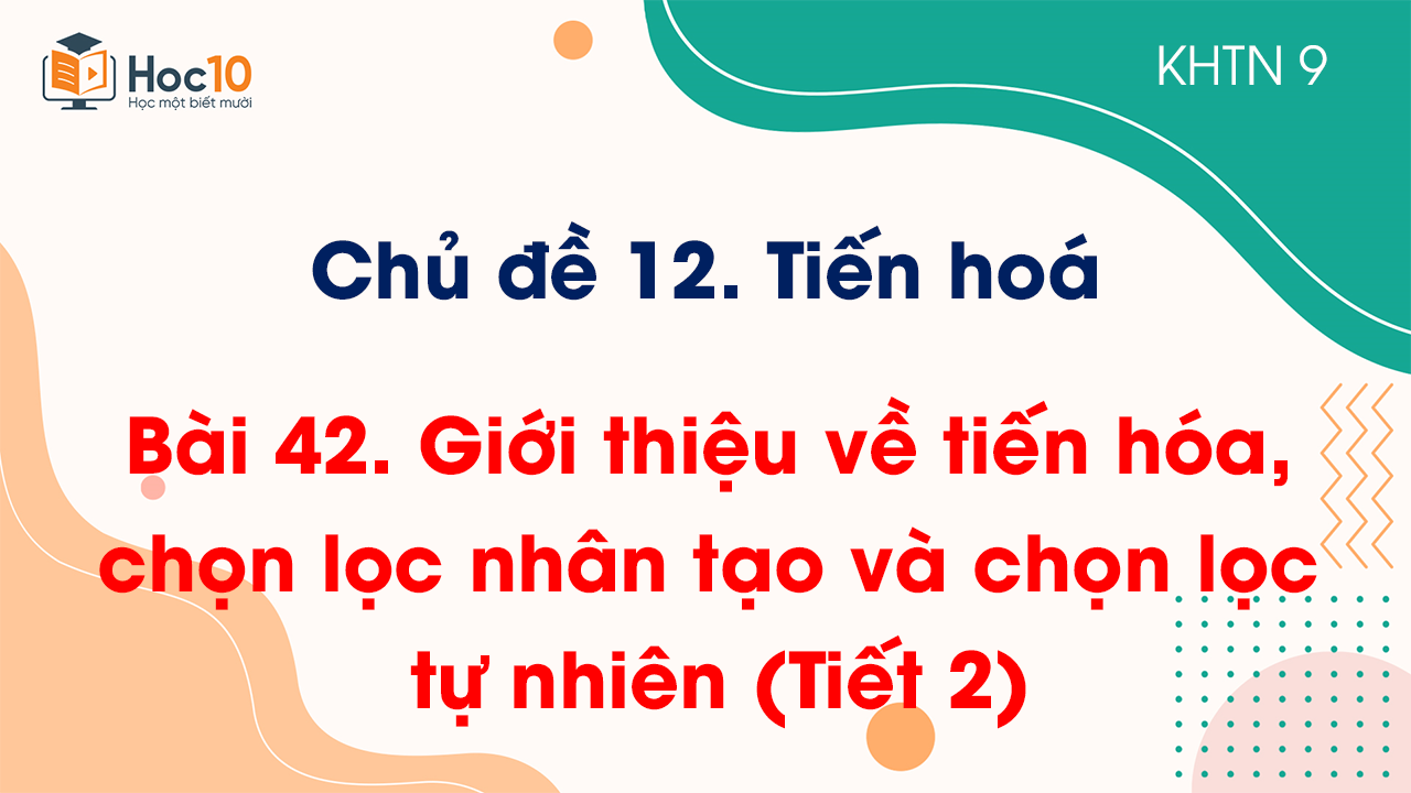Bài 42. Giới thiệu về tiến hóa, chọn lọc nhân tạo và chọn lọc tự nhiên (Tiết 2)