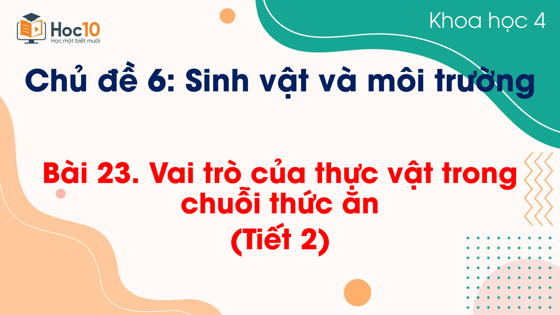 Chủ đề 6 - Bài 23. Vai trò của thực vật trong chuỗi thức ăn (T2)
