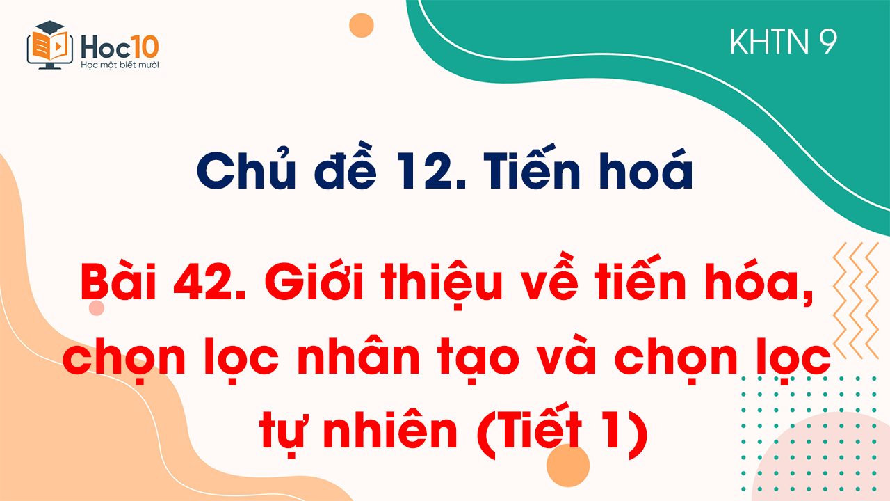 Bài 42. Giới thiệu về tiến hoá, chọn lọc nhân tạo và chọn lọc tự nhiên (Tiết 1)