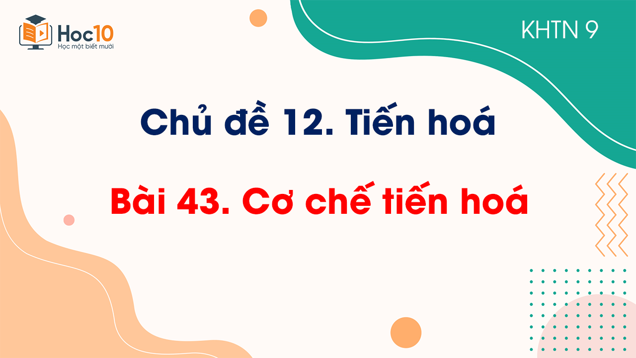 Bài 43. Cơ chế tiến hoá
