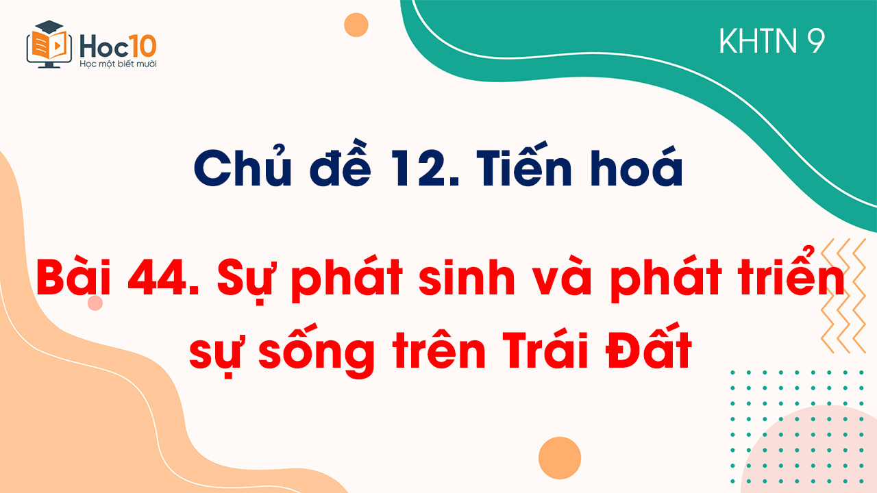 Bài 44. Sự phát sinh và phát triển sự sống trên Trái Đất