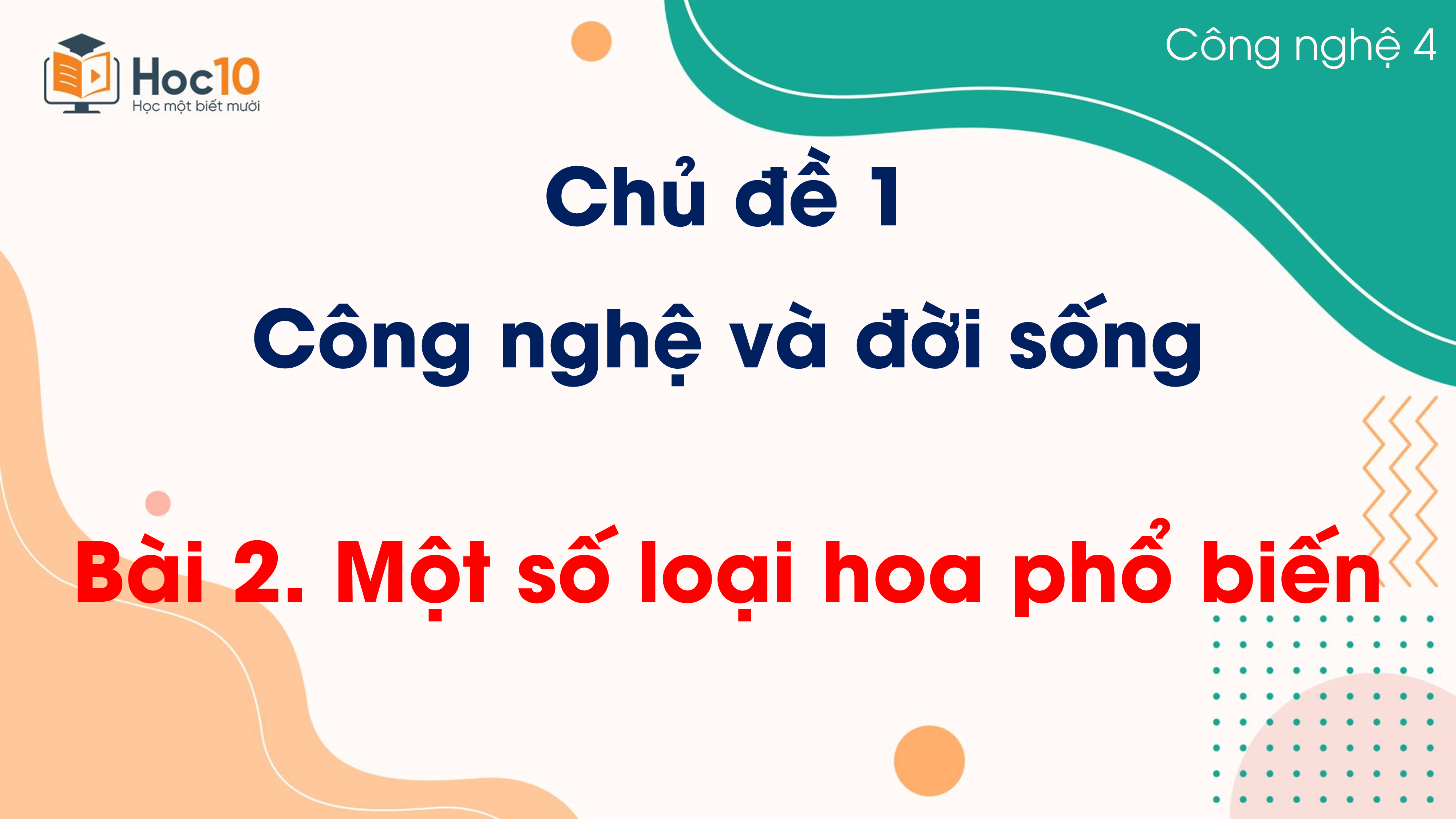 Chủ đề 1 - Bài 2. Một số loại hoa phổ biến