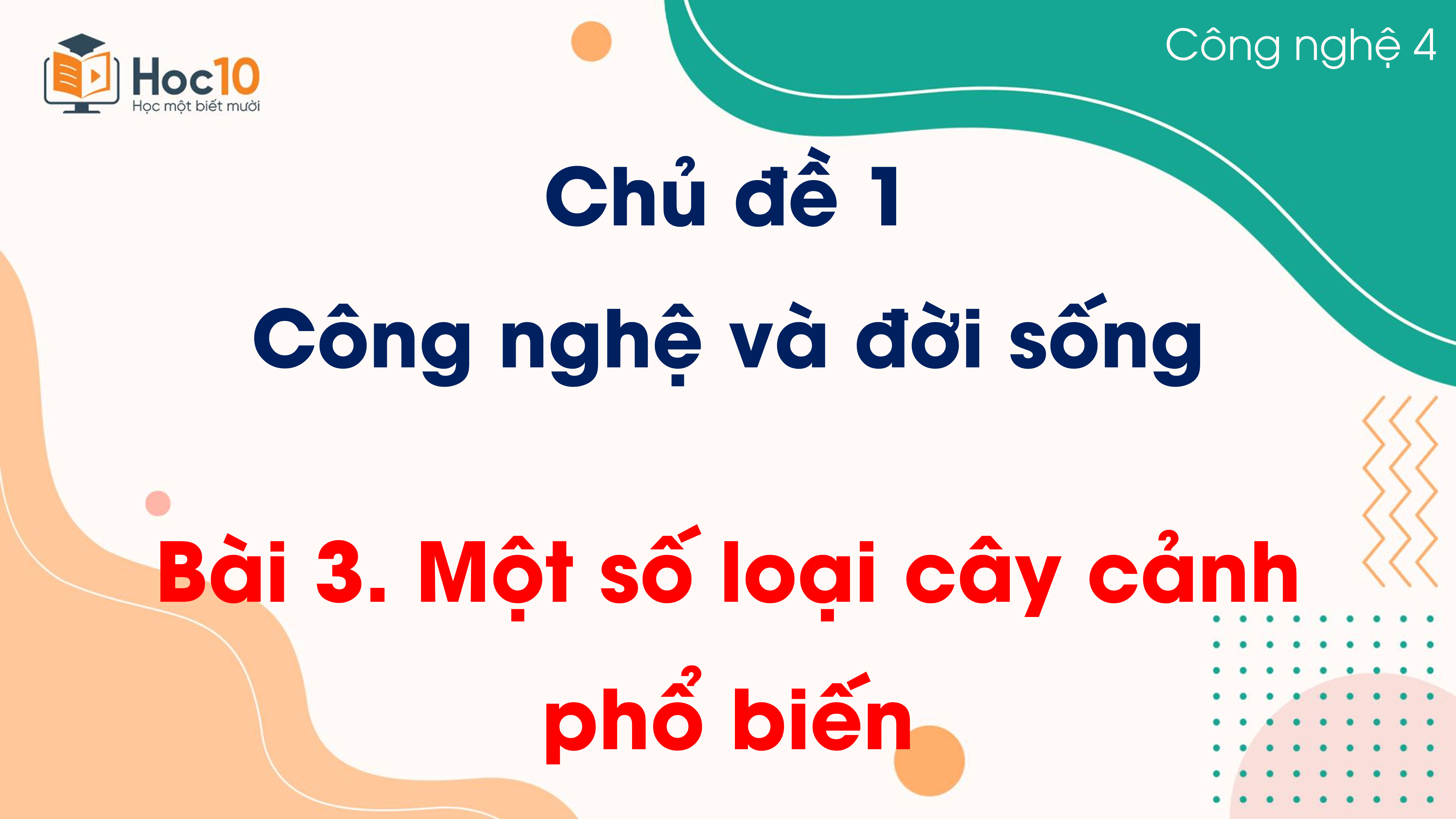 Chủ đề 1 - Bài 3. Một số loại cây cảnh phổ biến