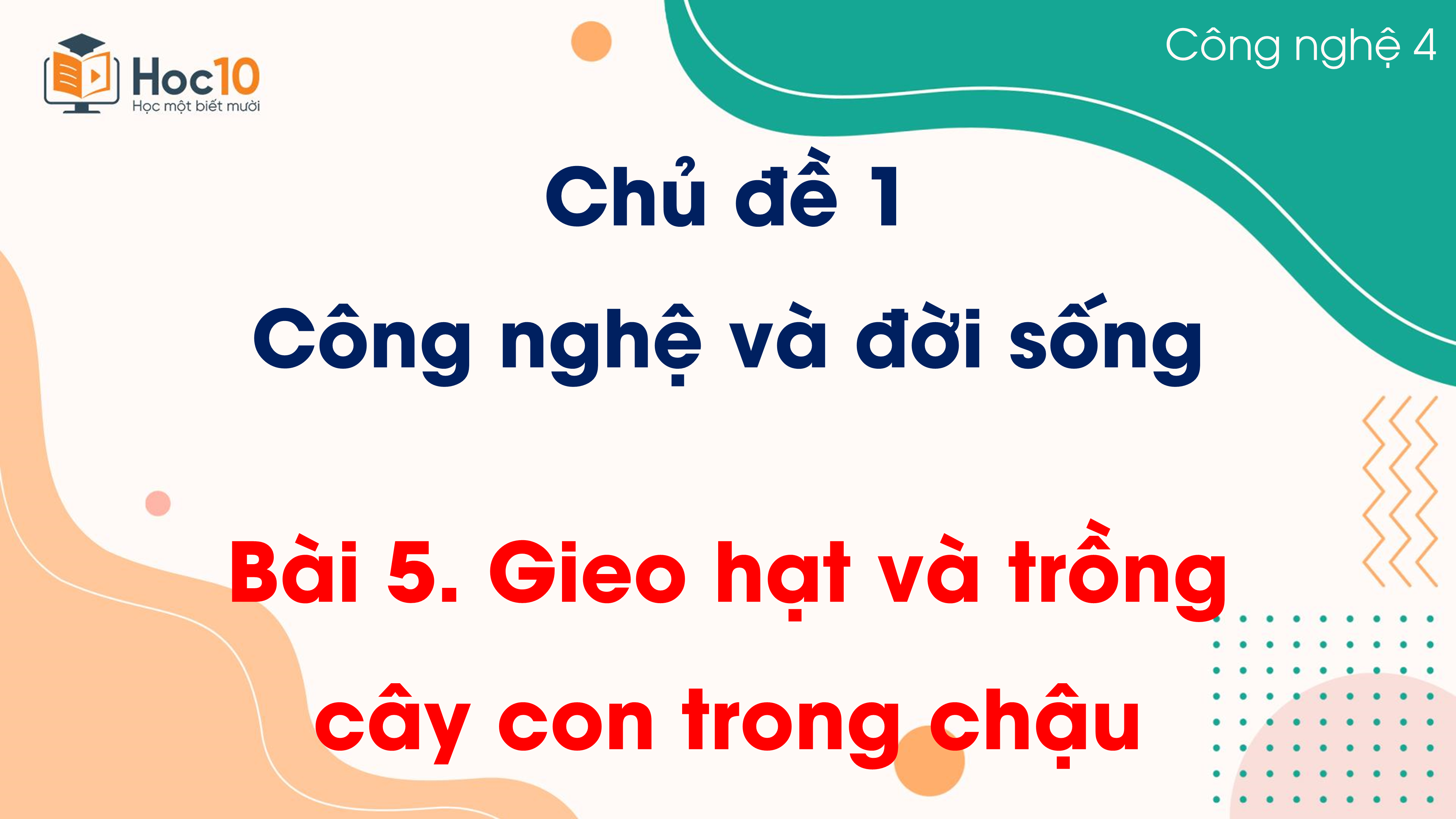 Chủ đề 1 - Bài 5. Gieo hạt và trồng cây con trong chậu