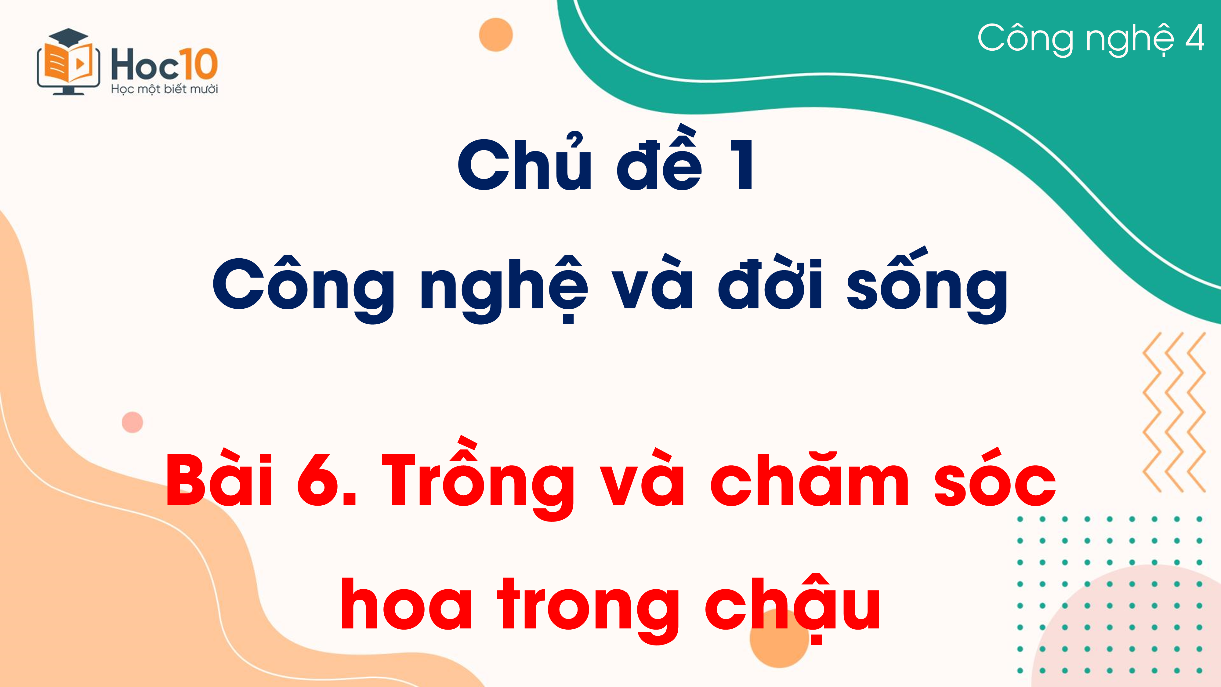 Chủ đề 1 - Bài 6. Trồng và chăm sóc hoa trong chậu