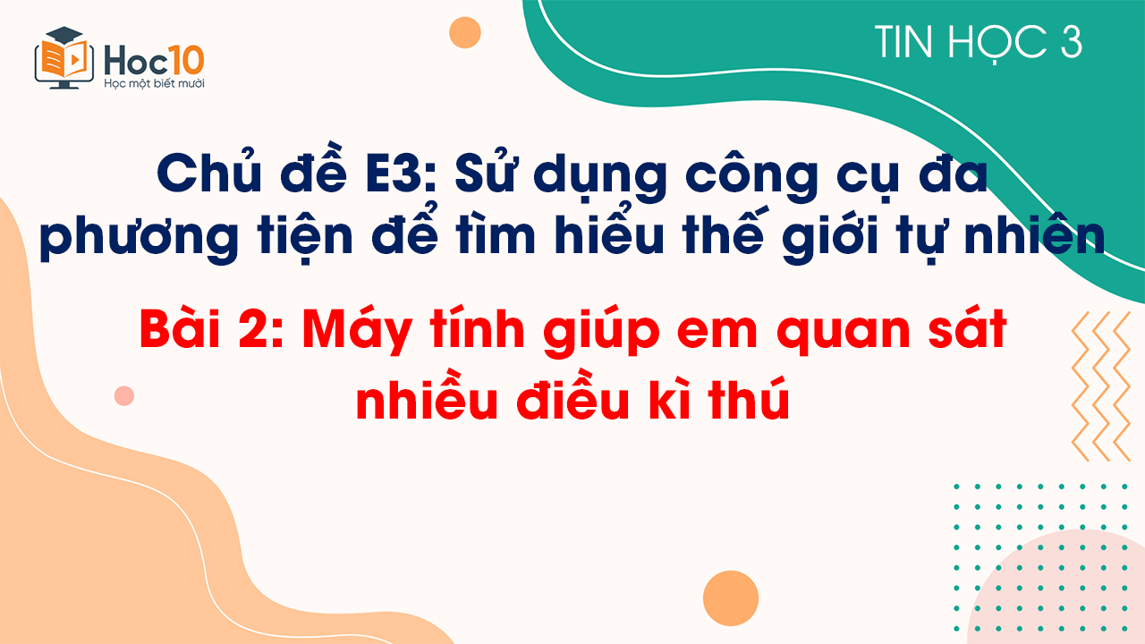 Chủ đề E3 - Bài 2: Máy tính giúp em quan sát nhiều điều kì thú