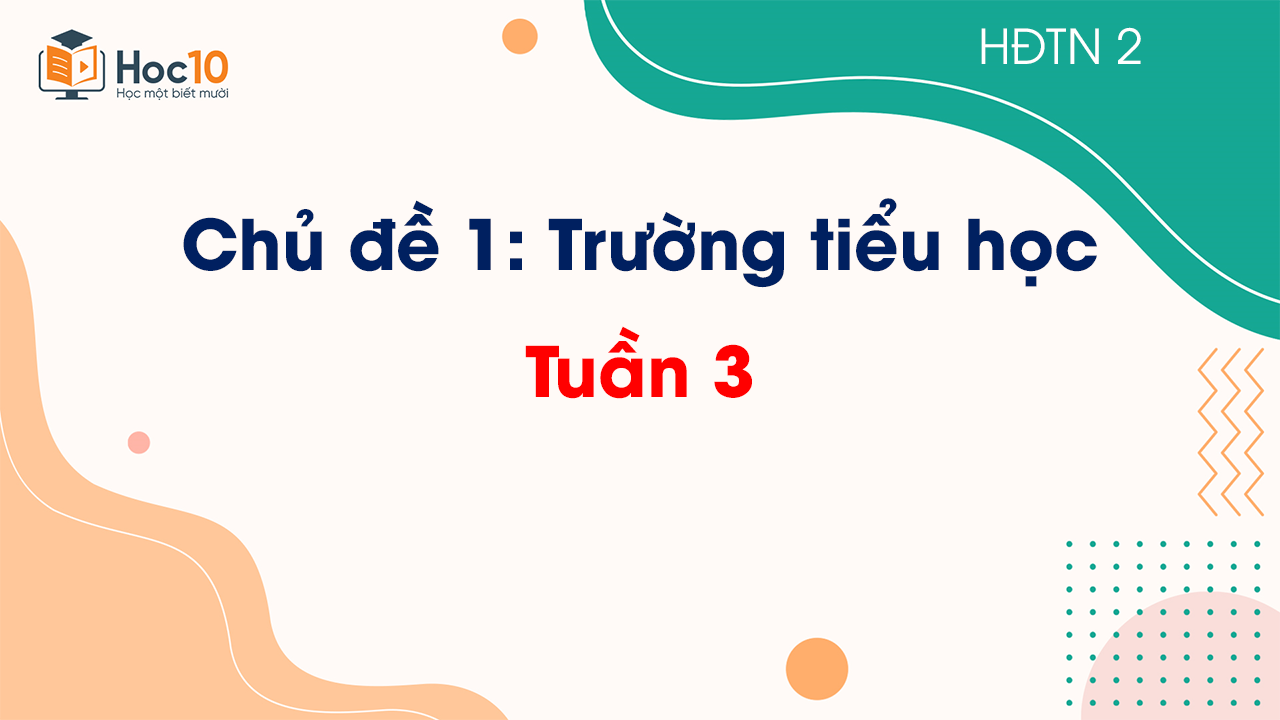 Tuần 3