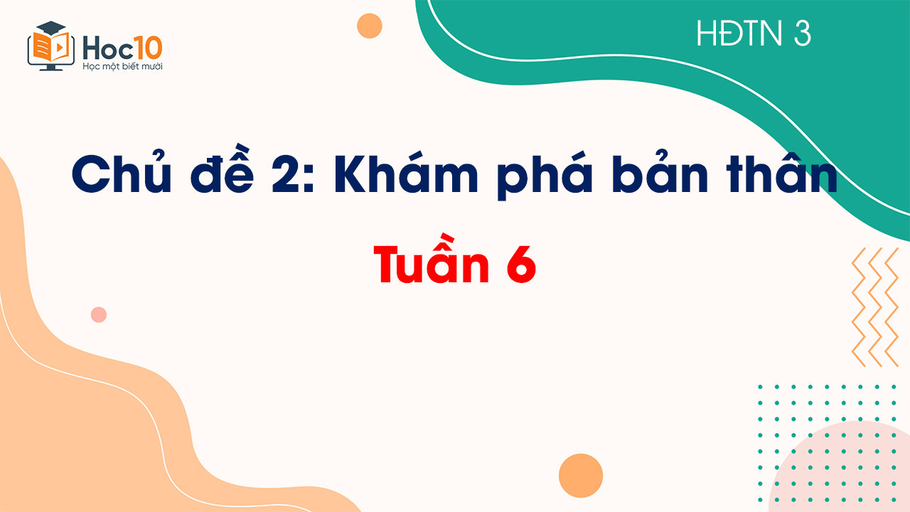 Tuần 6